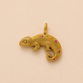 NISI • KAMELEON Charm